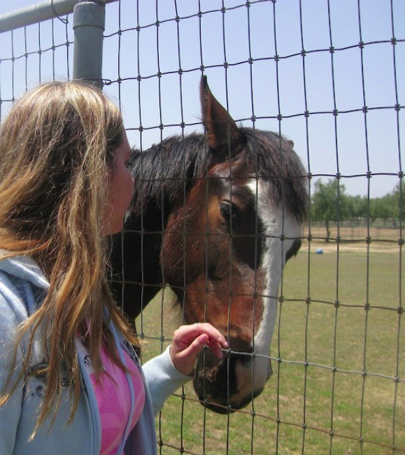 Kate with a horse at a fence
